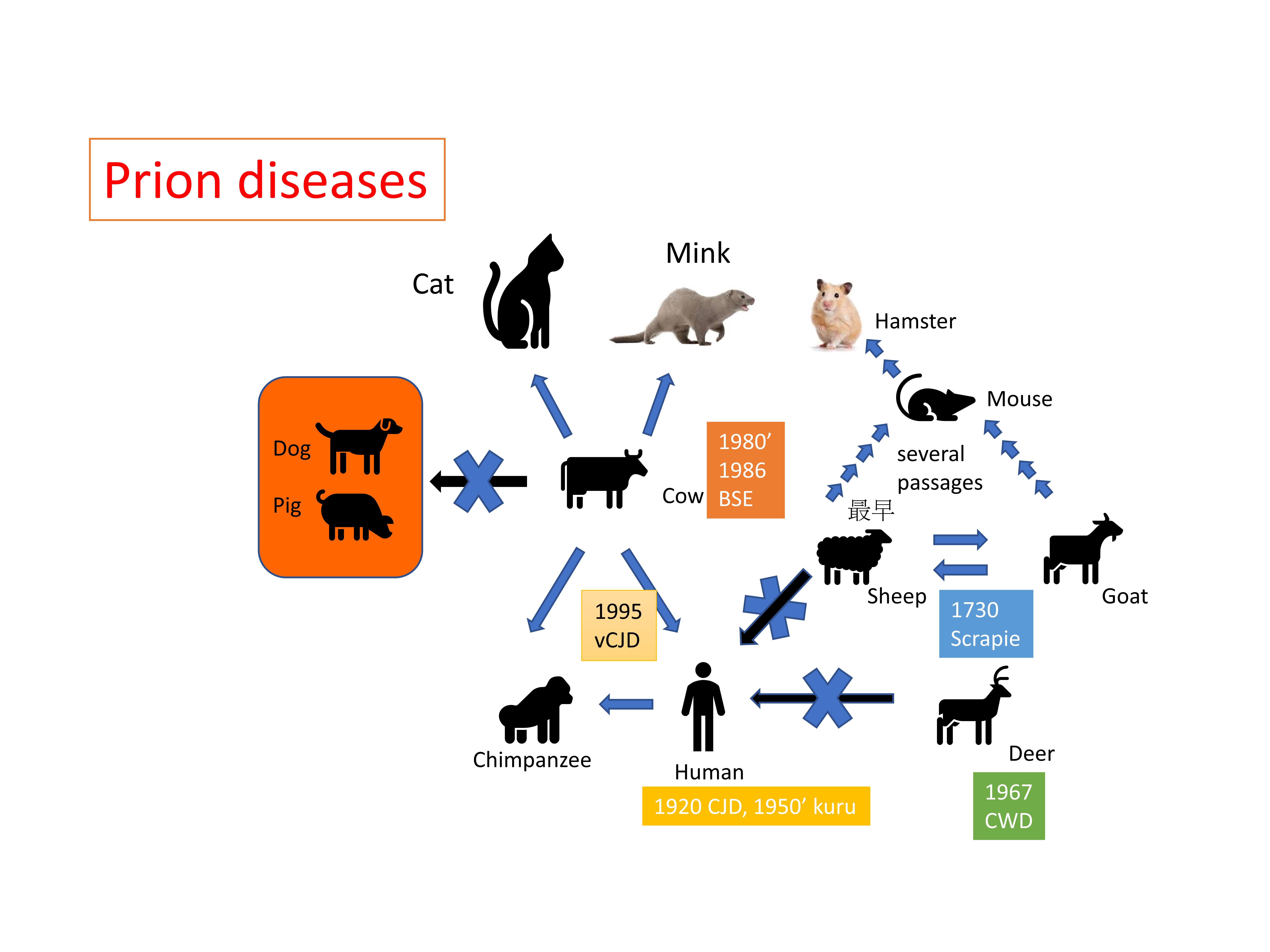 蛋白質可以傳染疾病嗎？
