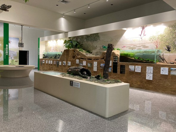 環境教育中心闖關活動