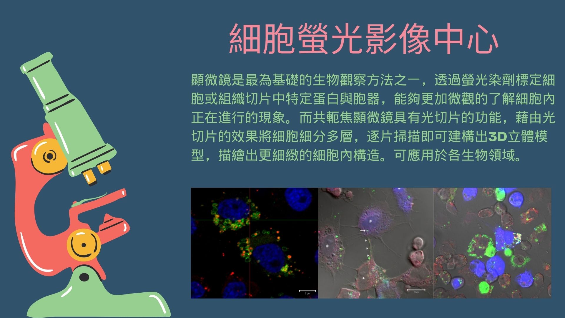 實驗室參觀- 細胞螢光影像中心