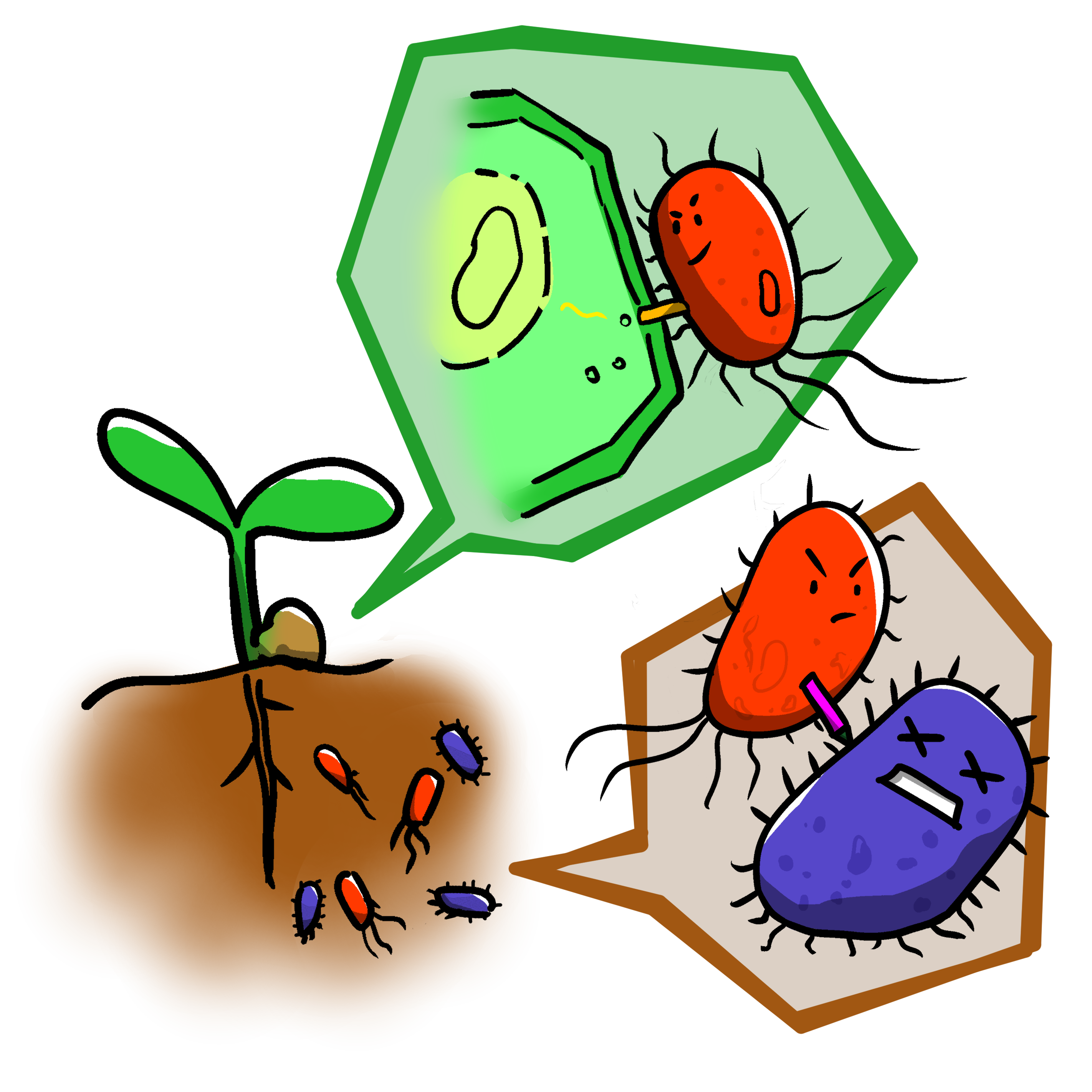 你今天基改了嗎？農桿菌─自然界中的基因工程師