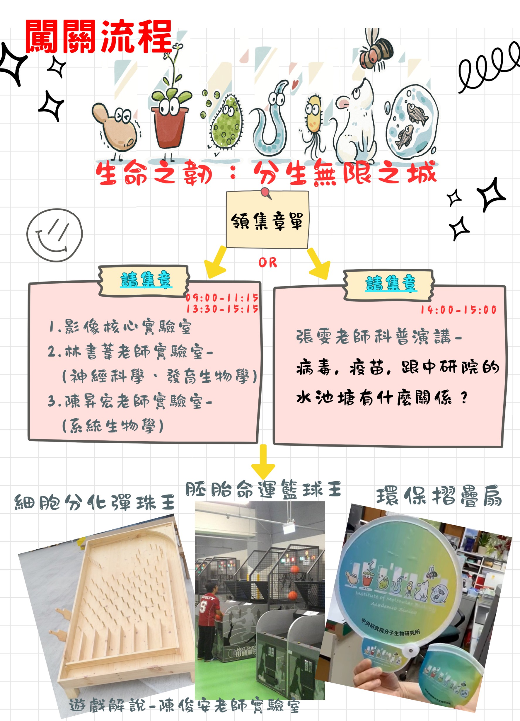 生命之韌：分生無限之城