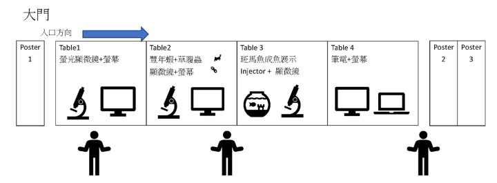 彩虹斑馬魚與牠們的產地