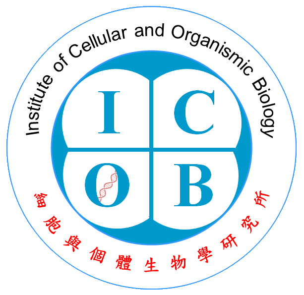 名偵探大腦篇：拼湊出完整的面貌