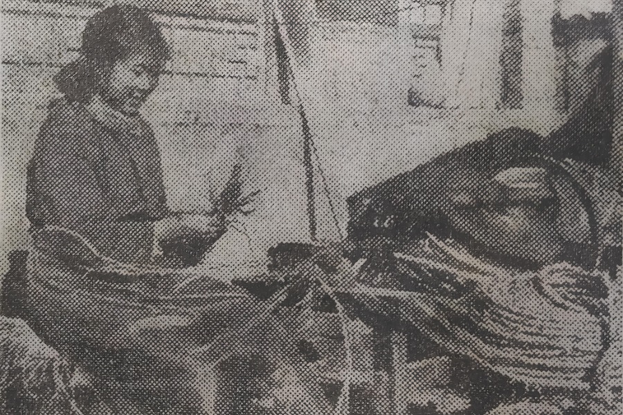 近代中國農村的副業