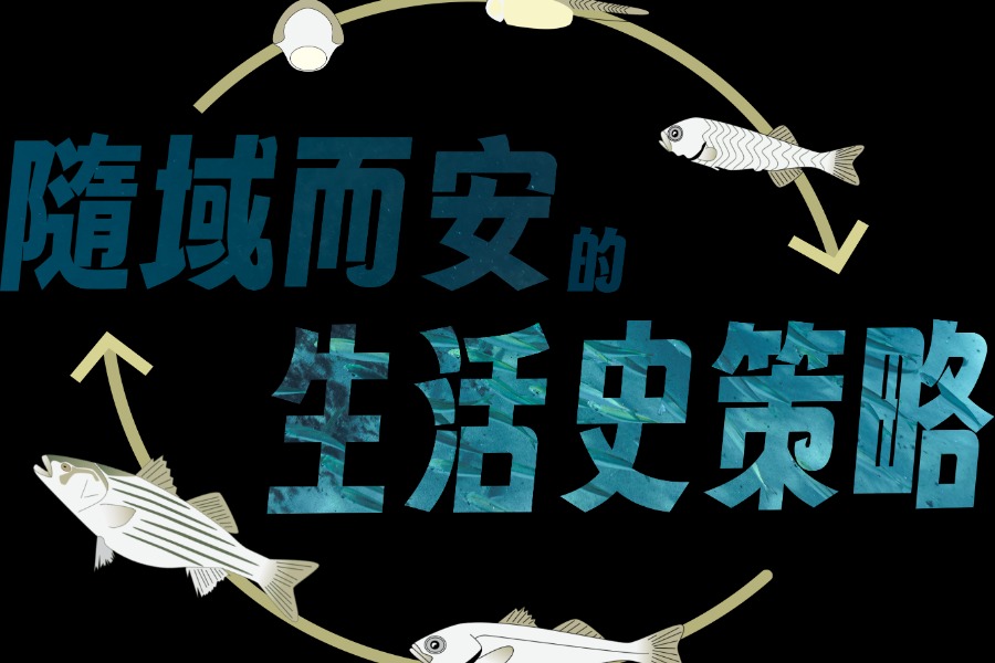 隨域而安的生活史策略