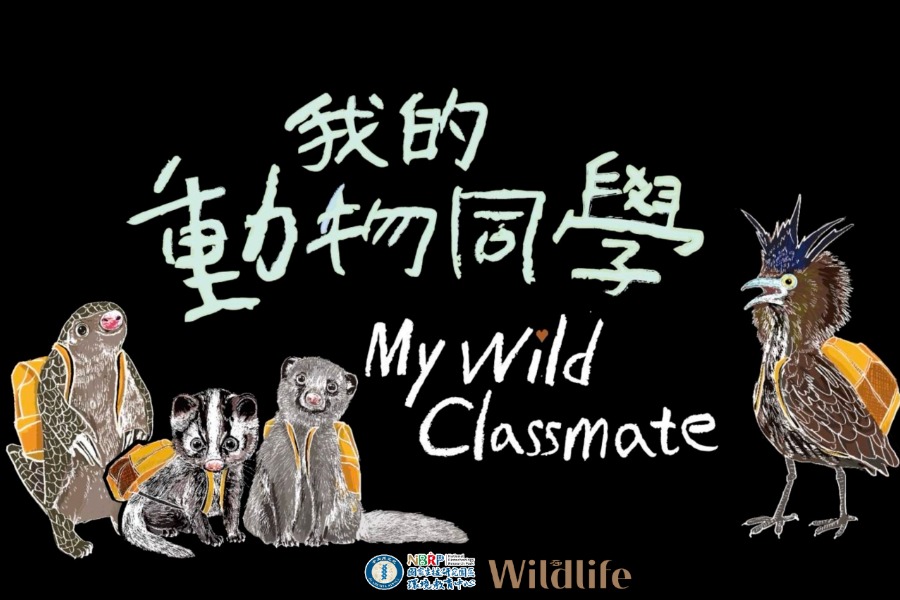 《我的動物同學》系列影片放映活動