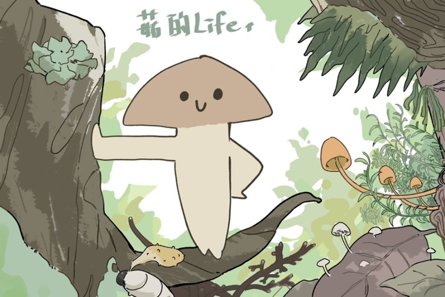菇的Life