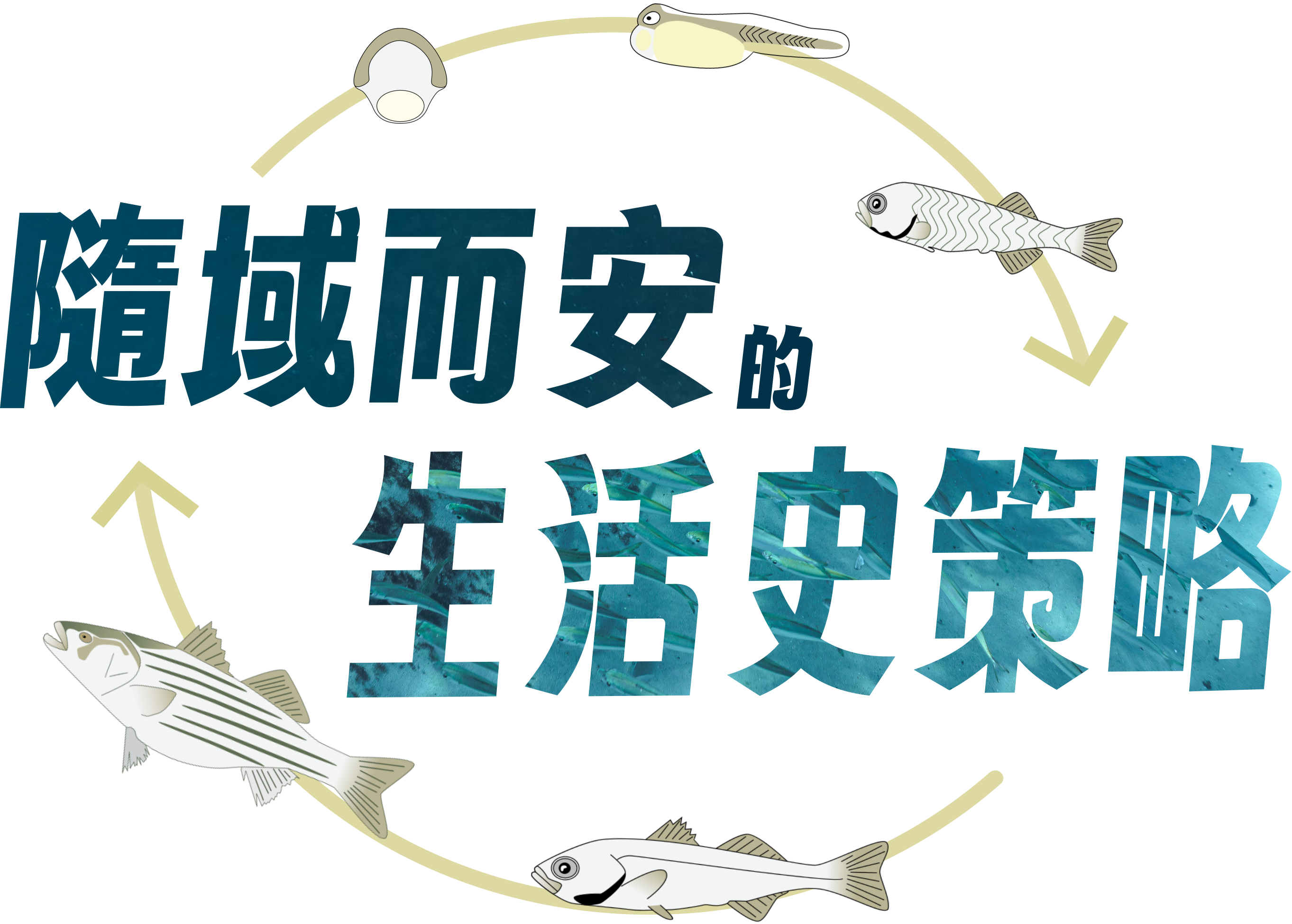 闖關大樂透-隨域而安的生活史策略